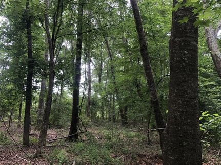 Undeveloped Land for sale in Anderson County, Texas