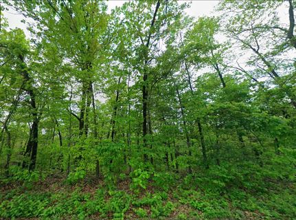 Land for sale in Wright County, Missouri