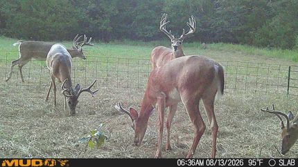 Land for sale in Johnston County, Oklahoma