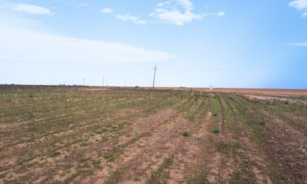 Land for sale in Crosby County, Texas