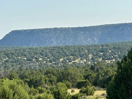 Land for sale in San Miguel County, New Mexico