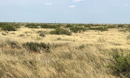 Farm and Ranch for sale in Lea County, New Mexico