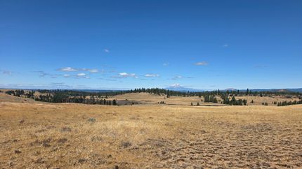 Undeveloped Land for sale in Klickitat County, Washington