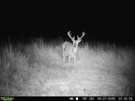Land for sale in Lyon County, Kansas