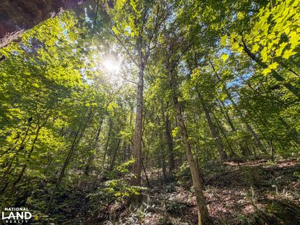 Land for sale in Shelby County, Alabama