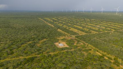 Land for sale in Zapata County, Texas