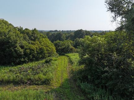 Undeveloped Land for sale in Fulton County, Illinois