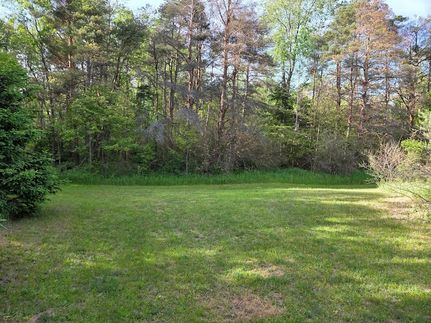 Homesite for sale in Newaygo County, Michigan