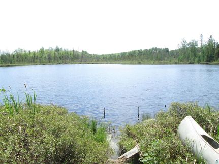Land for sale in Saint Louis County, Minnesota