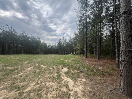 Farm and Ranch for sale in Houston County, Tennessee