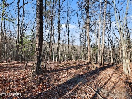 Land for sale in Blount County, Tennessee