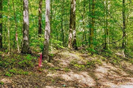 Undeveloped Land for sale in Pickett County, Tennessee