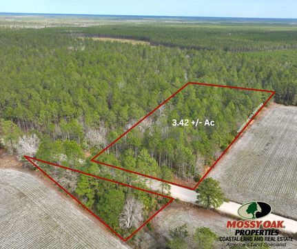 Undeveloped Land for sale in Appling County, Georgia