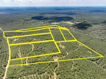 Undeveloped Land for sale in Tyler County, Texas