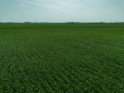 Undeveloped Land for sale in Pickaway County, Ohio