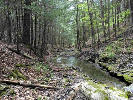 Land for sale in Steuben County, New York