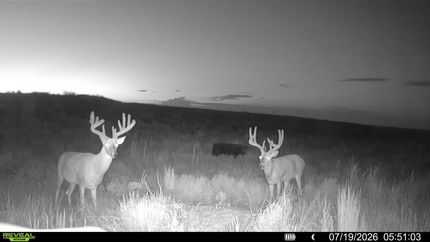 Farm and Ranch for sale in Pratt County, Kansas