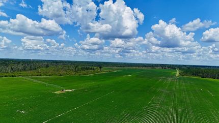 Land for sale in Bacon County, Georgia