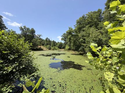 Land for sale in Lewis County, Tennessee