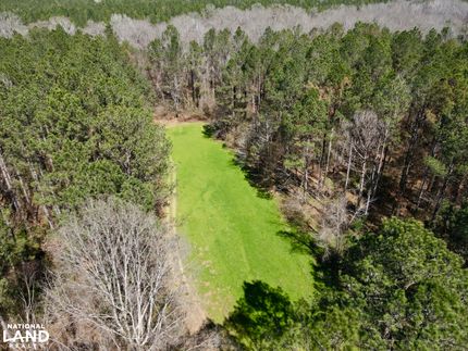 Land for sale in Monroe County, Alabama