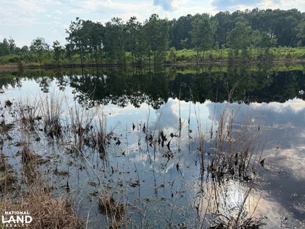 Land for sale in Conecuh County, Alabama