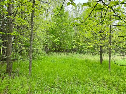 Undeveloped Land for sale in Cass County, Minnesota