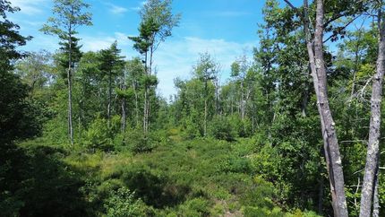 Farm and Ranch for sale in Sagadahoc County, Maine