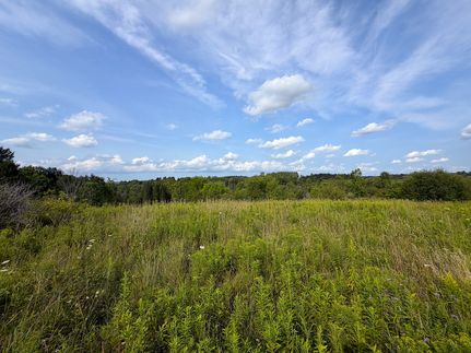 Land for sale in Wyoming County, New York