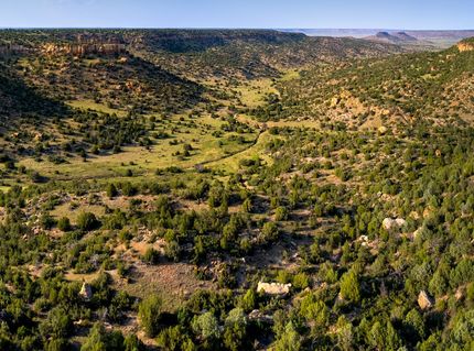 Land for sale in Union County, New Mexico