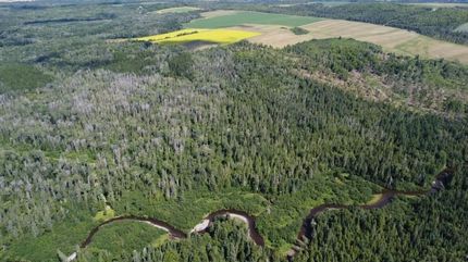 Land for sale in Aroostook County, Maine