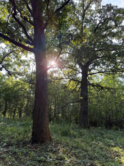 Land for sale in Montgomery County, Kansas