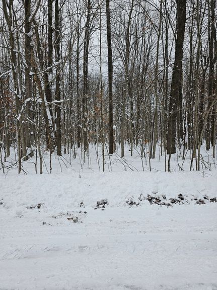 Land for sale in Crawford County, Michigan
