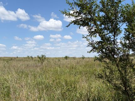 Land for sale in Collingsworth County, Texas