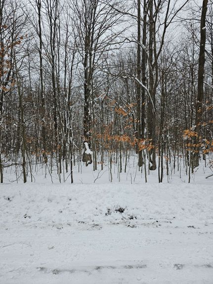 Undeveloped Land for sale in Crawford County, Michigan