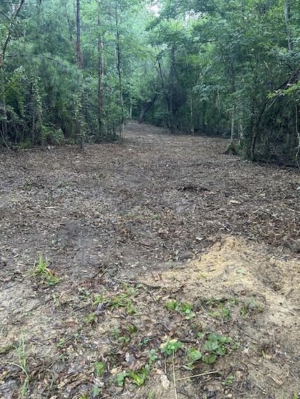 Undeveloped Land for sale in Newton County, Texas