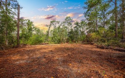 Undeveloped Land for sale in Hamilton County, Florida