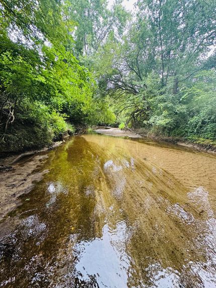 Land for sale in Vigo County, Indiana