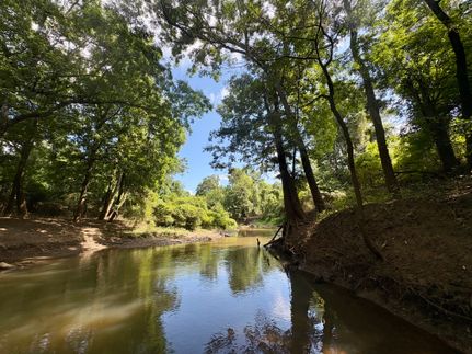 Land for sale in Clarke County, Alabama