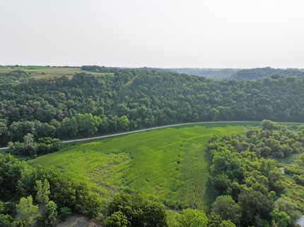 Timberland Property for sale in Wabasha County, Minnesota