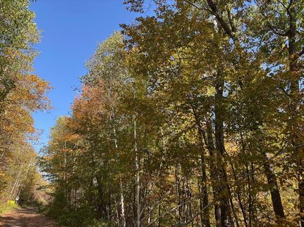 Farm and Ranch for sale in Hubbard County, Minnesota