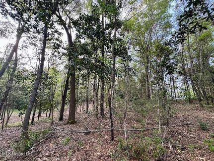 Homesite for sale in Jackson County, Mississippi