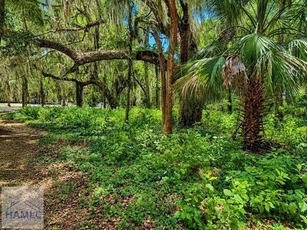 Undeveloped Land for sale in McIntosh County, Georgia