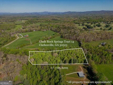 Undeveloped Land for sale in Habersham County, Georgia