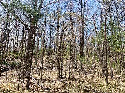 Undeveloped Land for sale in Otsego County, Michigan