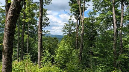 Land for sale in Delaware County, New York