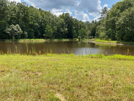 Land for sale in Crenshaw County, Alabama