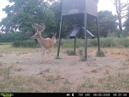 Land for sale in Chautauqua County, Kansas