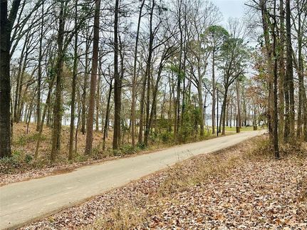 Land for sale in Titus County, Texas