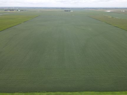 Land for sale in Champaign County, Illinois