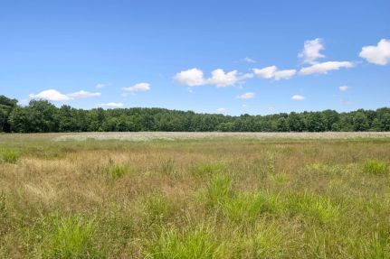 Undeveloped Land for sale in Clermont County, Ohio